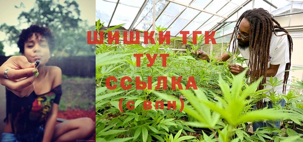 шишки Баксан