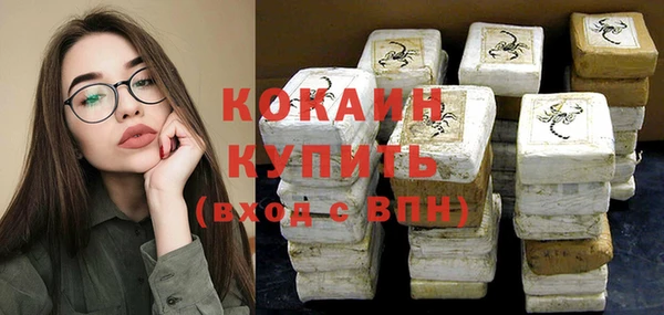 шишки Баксан