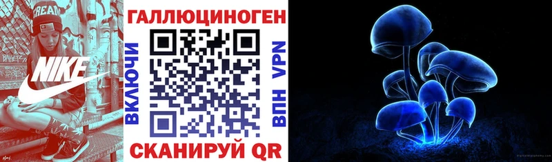 Галлюциногенные грибы Psilocybine cubensis  Сорск 
